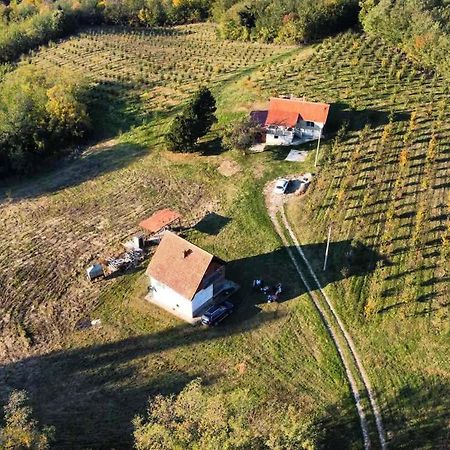 Vila Vikend House Ljig Exteriér fotografie